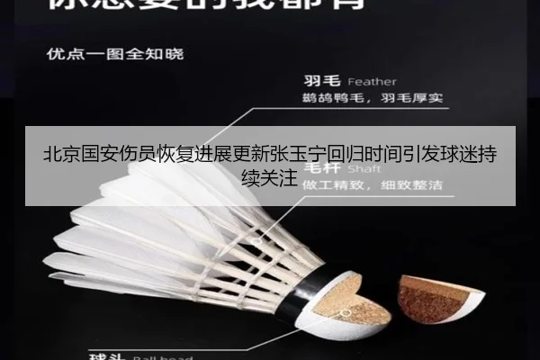 北京国安伤员恢复进展更新张玉宁回归时间引发球迷持续关注