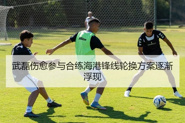 武磊伤愈参与合练海港锋线轮换方案逐渐浮现